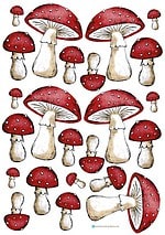Herbstzeit ist (GLÜCKS-)PILZ-Zeit