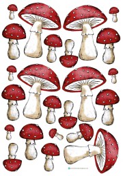 Herbstzeit ist (GLÜCKS-)PILZ-Zeit