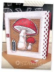 Herbstzeit ist (GLÜCKS-)PILZ-Zeit