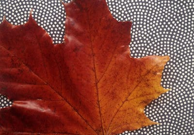 Die schönen Herbstfarben "konservieren"