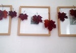 Die schönen Herbstfarben „konservieren“
