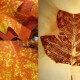 Leaf-Monoprint