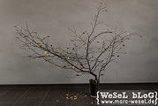 DIY Herbstbaum