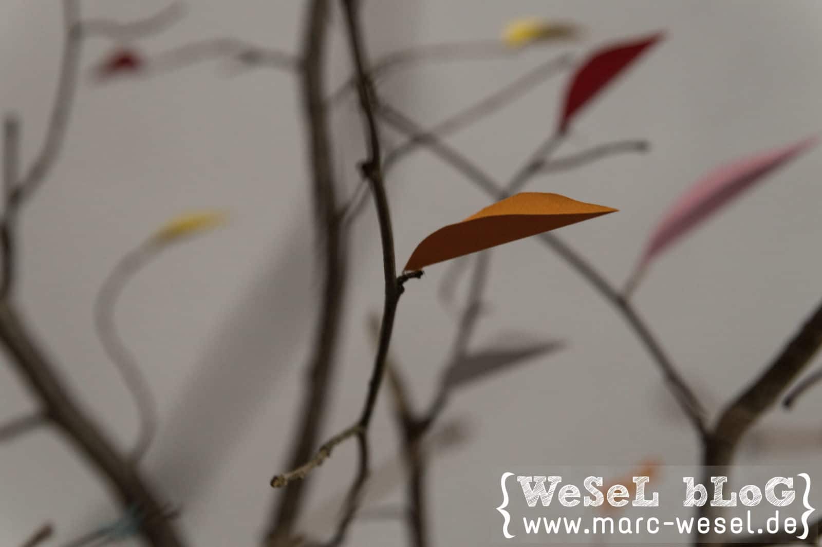 DIY Herbstbaum