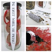 Geschenkidee: Vogelfutter freebie