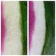 Filzhocker - Lasst Euch inspirieren von Kenneth Noland