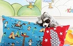 Ein Kissen für den Häuptling
