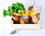 Happy Thanksgiving – DIY Geschenk und Truthahn mit Überraschung