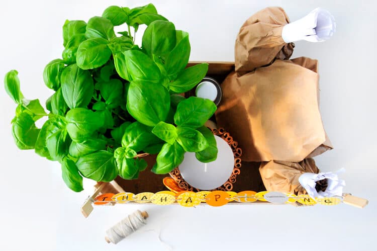 Happy Thanksgiving – DIY Geschenk und Truthahn mit Überraschung