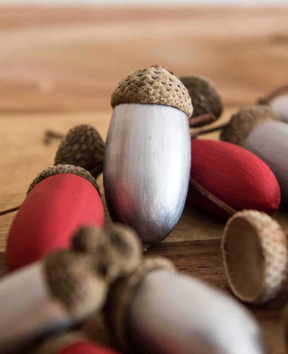 Bemalte Eicheln -DIY Weihnachtsdeko / Herbstdeko