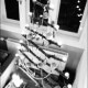 DIY-Weihnachtsbaum aus Ästen