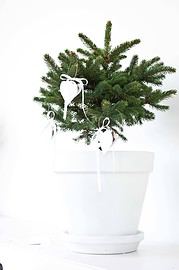 Flechtherzen für den Weihnachtsbaum