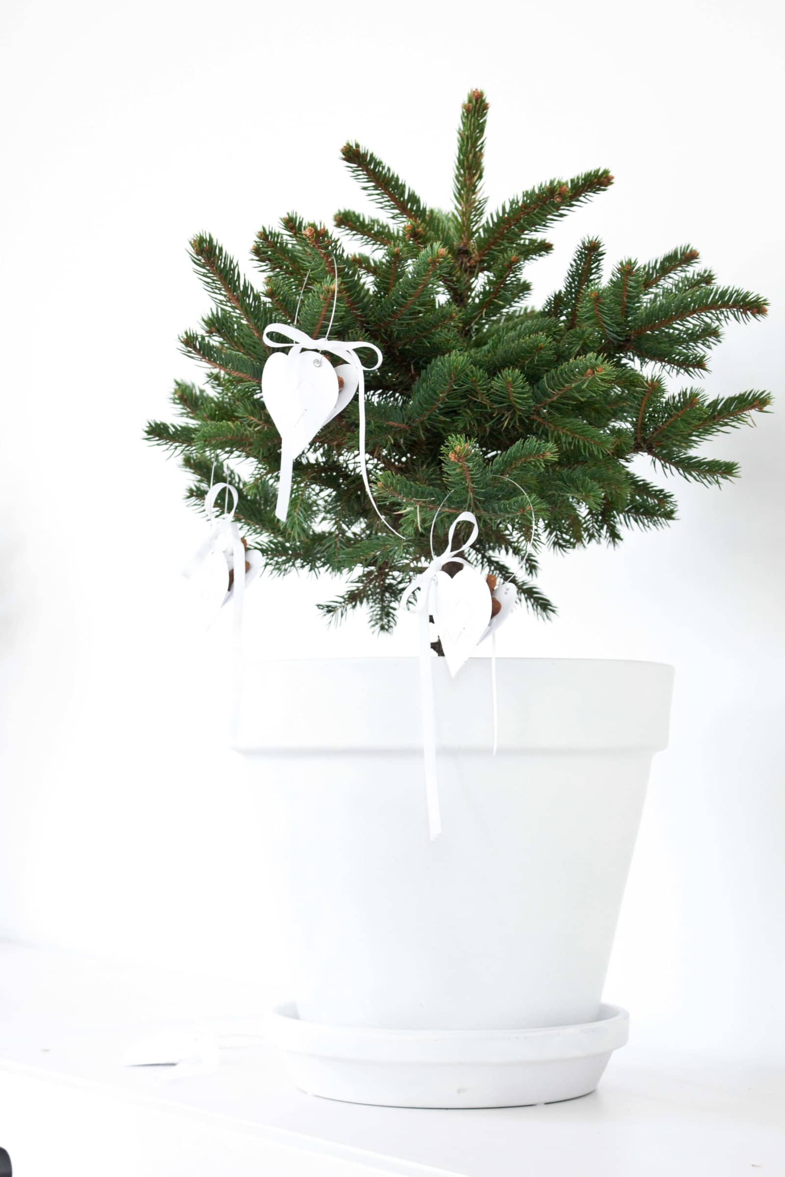 Flechtherzen für den Weihnachtsbaum