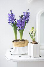 DIY Blumenübertopf aus alter Jeans