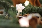 Sternzeit: Unser Weihnachts-DIY