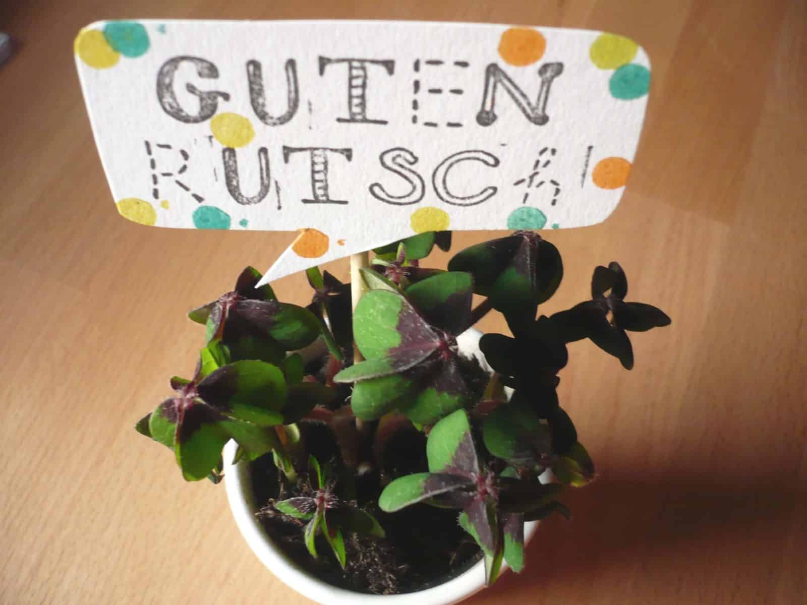 Glücksklee pimpen: Wünsche + einen Haufen Konfetti