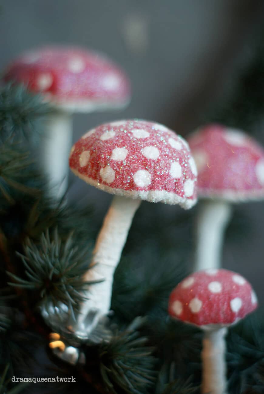 Glitterige Wattepilze