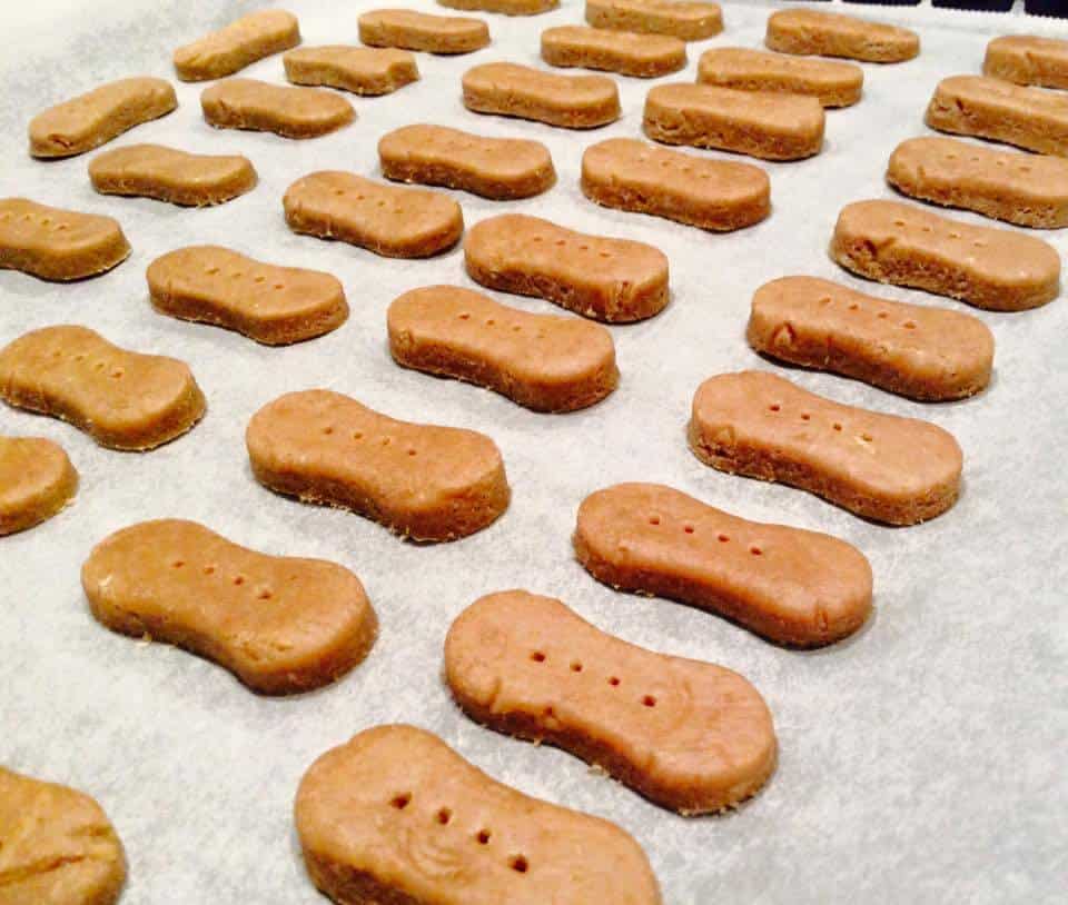 Hundekekse selbst gebacken