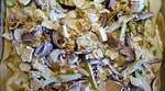 Dinkel-Flammkuchen mit Birne und Parmesan (vegetarisch)
