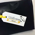 Für den frischgebackenen Hundebesitzer…