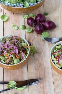 Rosenkohlsalat mit Quinoa