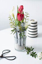 Elegantes Vasen Ensemble aus Reagenzgläsern