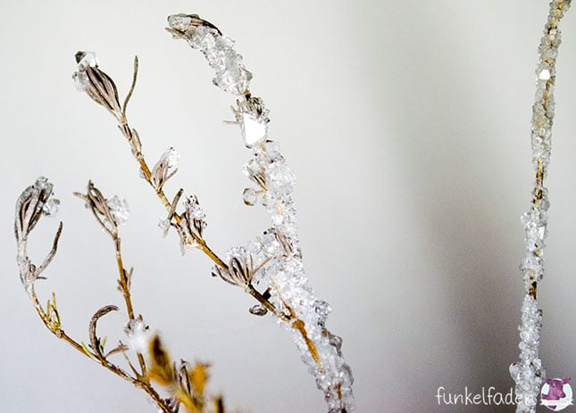 DIY – Lavendel mit Kristallen bewachsen lassen