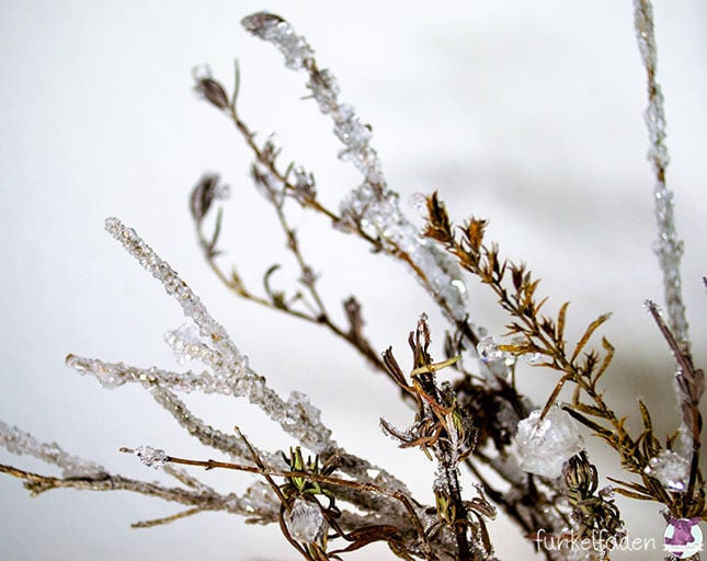 DIY – Lavendel mit Kristallen bewachsen lassen