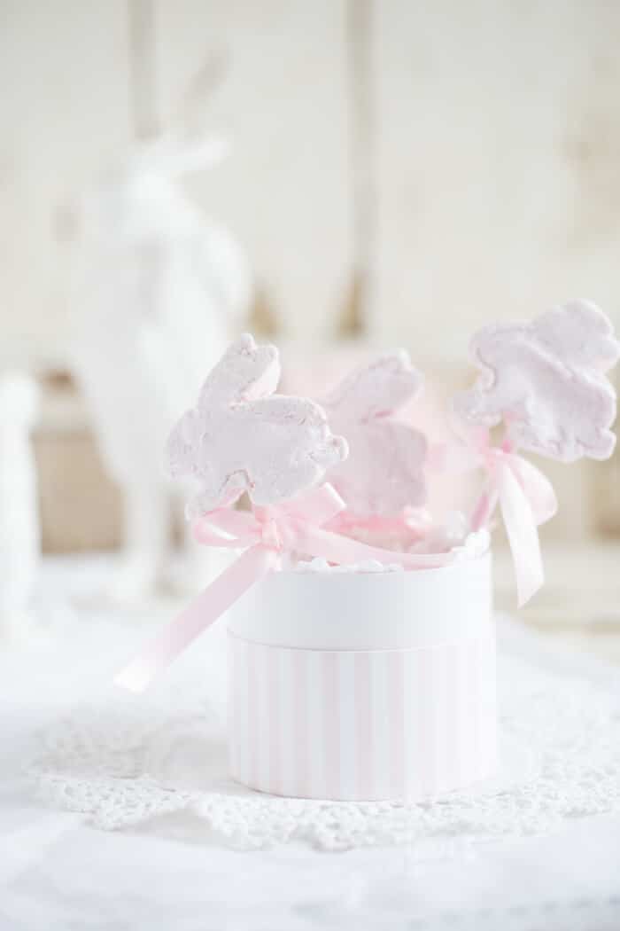 „Himbeer Marshmallows – Hasen to go!“
