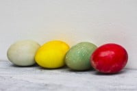Oster DIY - Eier natürlich färben & Tischdeko mit Kresse