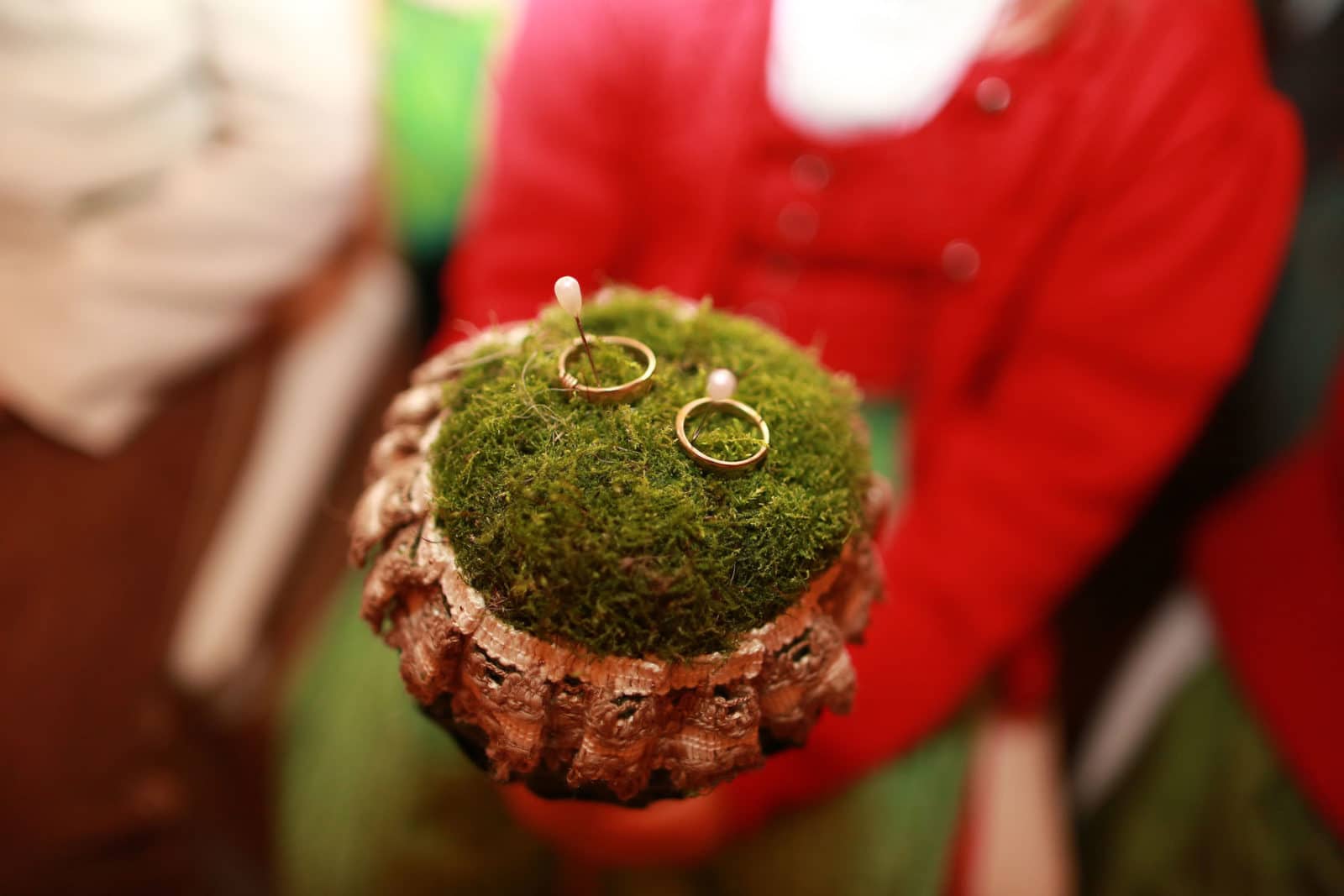 DIY-Ringkissen à la nature
