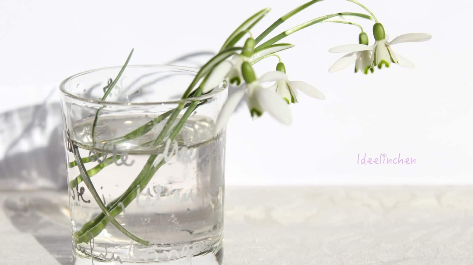 Winter im Zimmer – Schneeglöckchen und DIY- Vase (Windlicht)