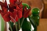 Tulipa micans…