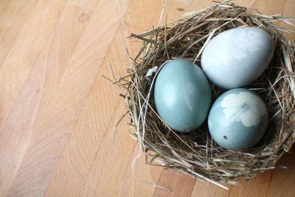 Osternest