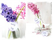 Upcycling Ideen: alte Flaschen