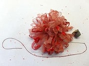 Tutorial für die Frühlingsdeko