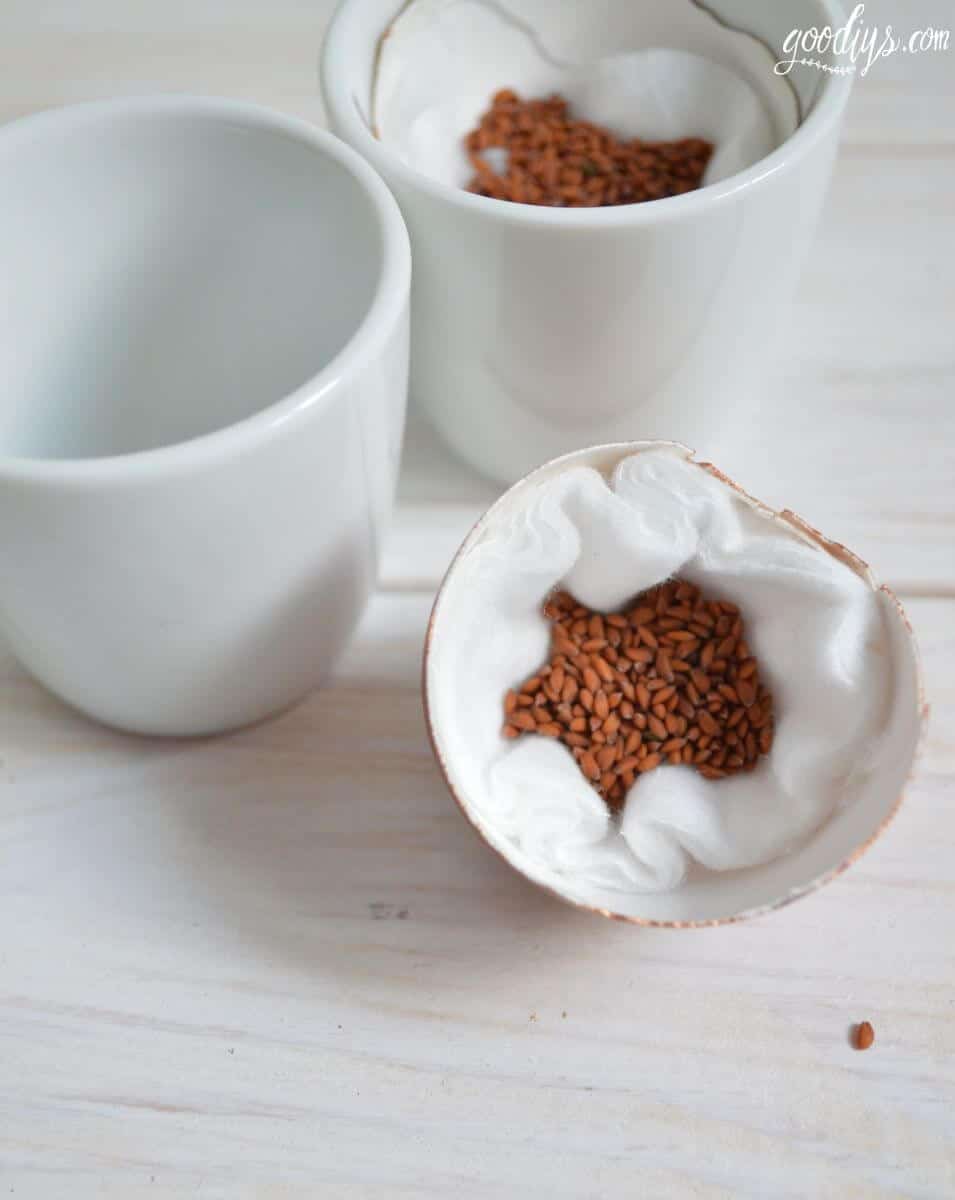 Kresseeier für Ostern