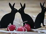 Osterhasenduo in Schwarz