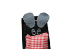 Frederick die Feldmaus als Geschenk für „kleine“ Freunde