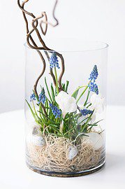 Frühling im Glas – von Rebecca Wallenta