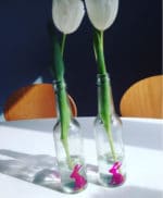 Ein Häschen kommt selten allein