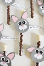 Oster-DIY: „Hasenköttel“ im Reagenzglas