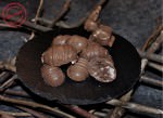 Ostern zum Mitnehmen