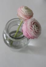 DIY Strick-Bunny