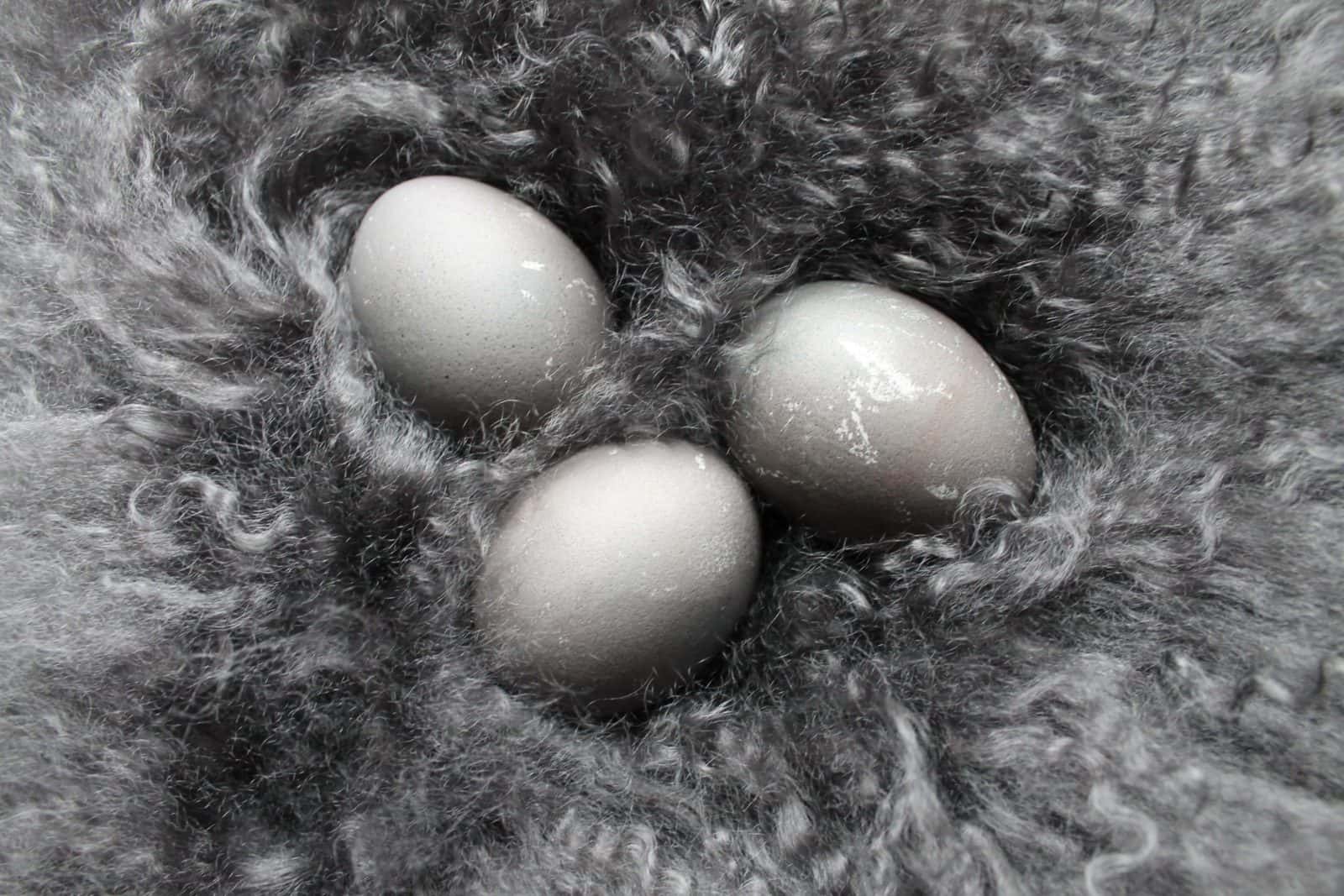 Graue Eier färben – ganz natürlich