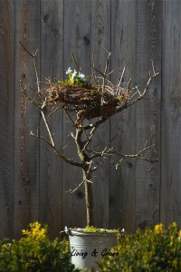 Ein Nest aus Birkenreisig