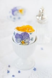 DIY - Die schönsten Ostereier mit echten Blüten für ein gelungenes Osterfest
