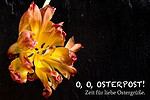 OSTERPOST! | ZEIT FÜR LIEBE OSTERGRÜSSE.