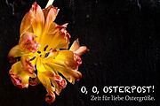OSTERPOST! | ZEIT FÜR LIEBE OSTERGRÜSSE.