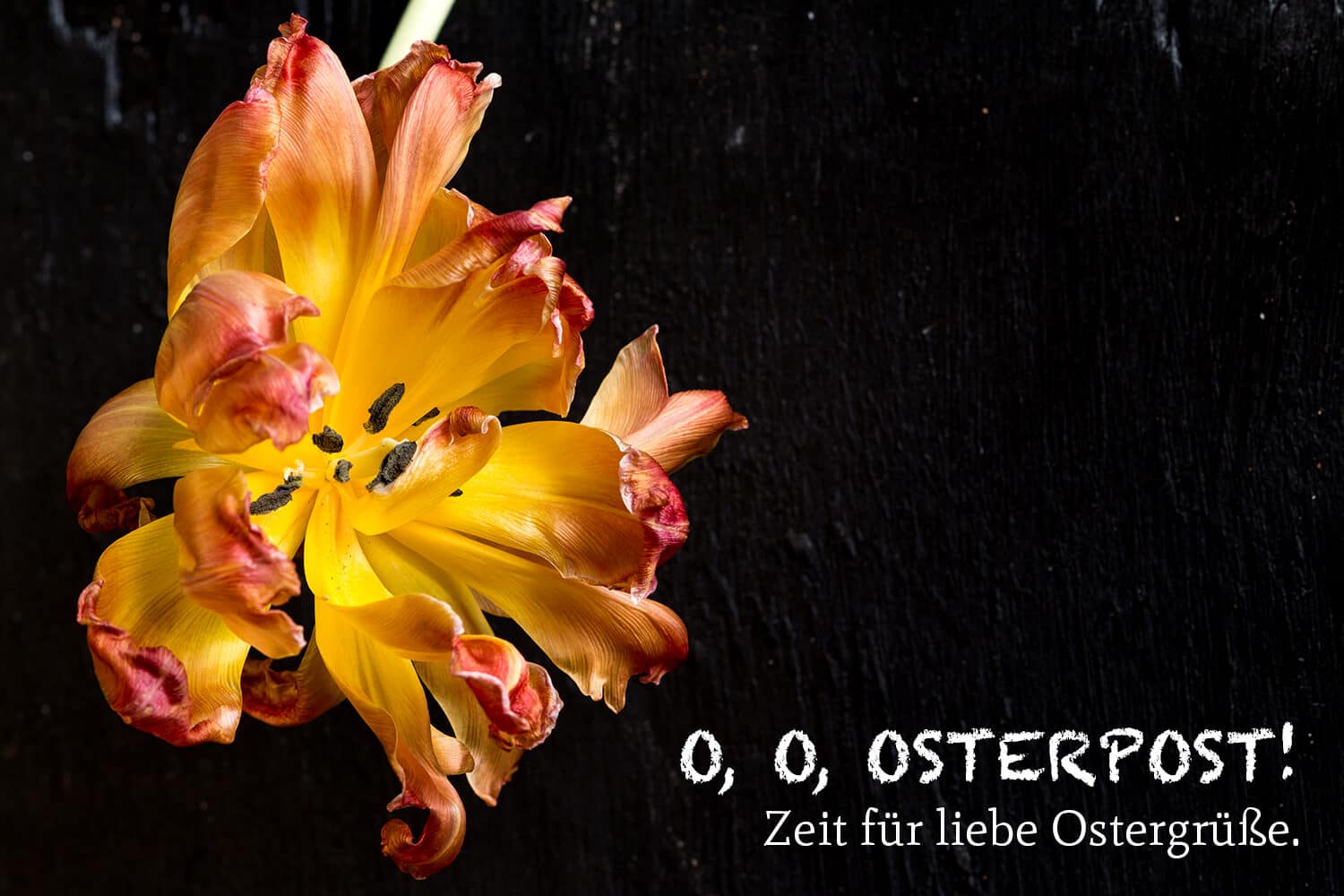 OSTERPOST! | ZEIT FÜR LIEBE OSTERGRÜSSE.